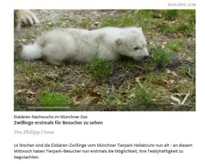 Tierpark Hellabrunn - Eisbären-Zwillinge